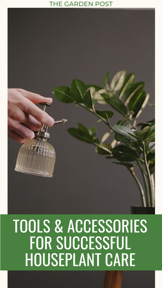 Essential Tools and Accessories For Successful Houseplant Care