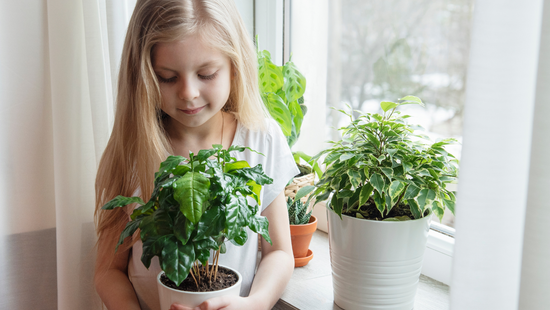 9 Detoxifying Houseplants Safe for Kids and Babies.