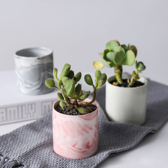 Small Marble Planters