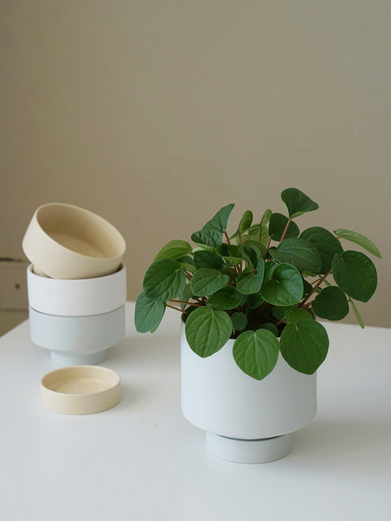 Morandi Ceramic Planters
