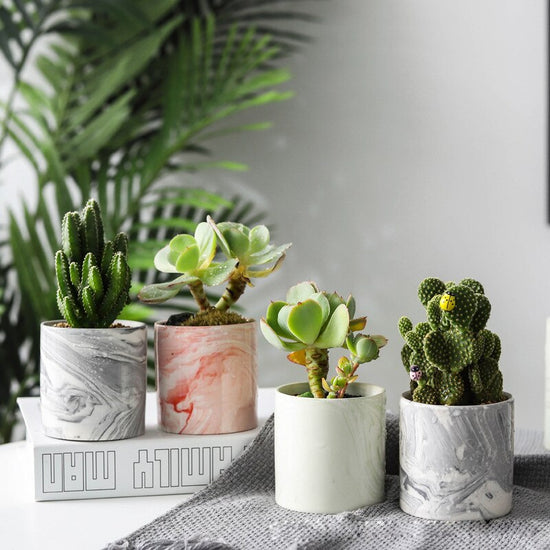 Small Marble Planters